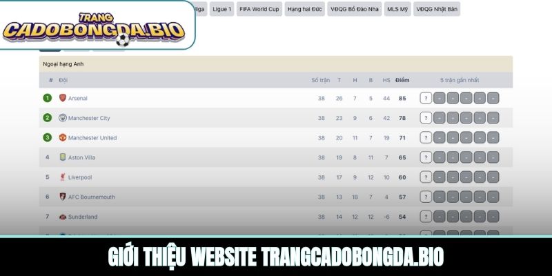 Giới thiệu website zwy.io